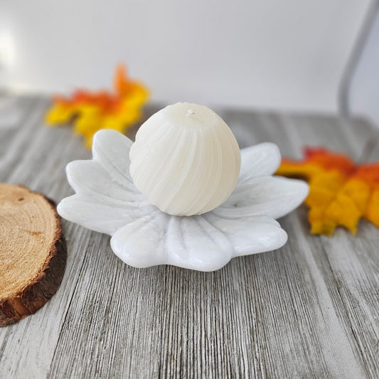 white daisy with a yellow center and a hint of extremely pale pink. Used as a candle holder.