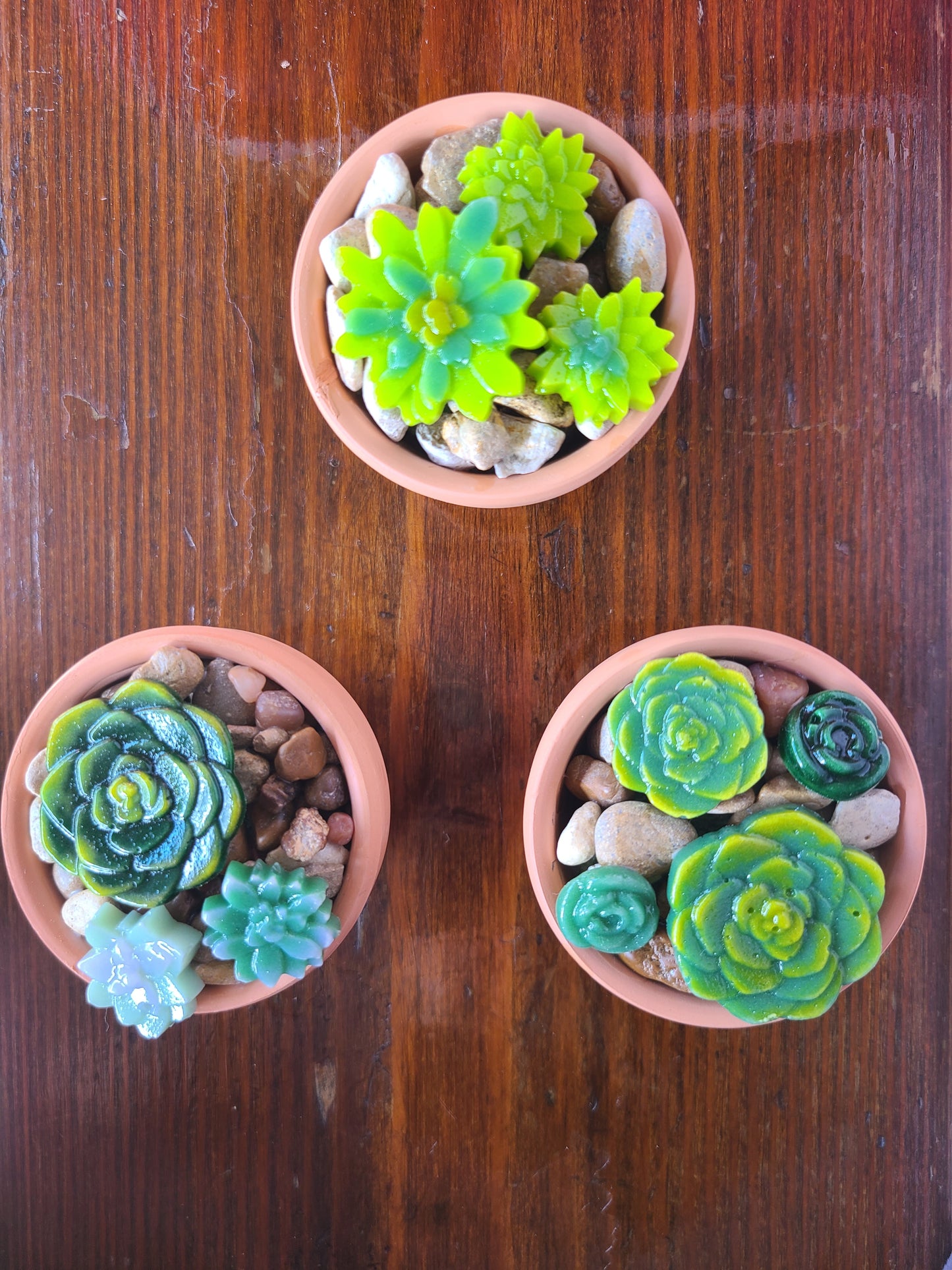 Glass Succulents with Terra Cotta Pot