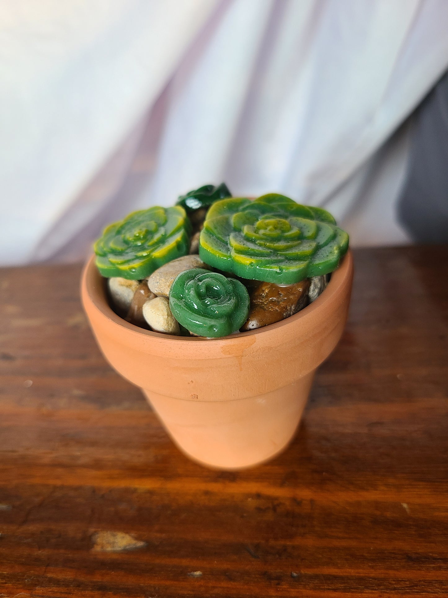 Glass Succulents with Terra Cotta Pot