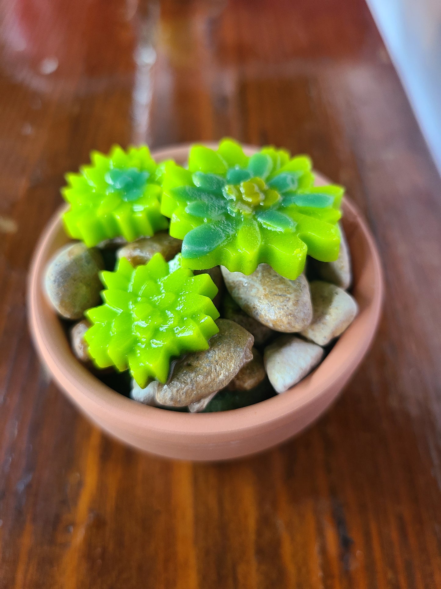 Glass Succulents with Terra Cotta Pot